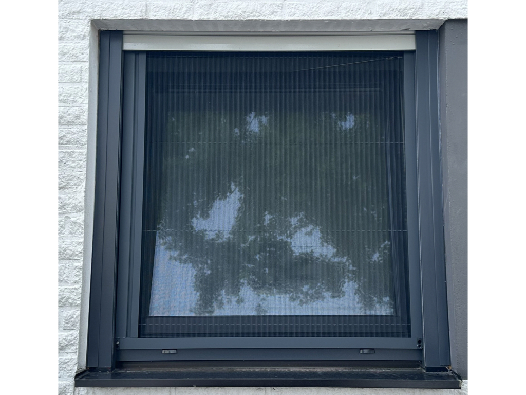 Fenster Fliegengitter